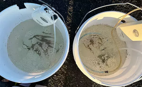 「ヤエン釣りでアオリイカ6杯をキャッチ【茂原人工海水浴場】ゲストに青物もヒット」の画像