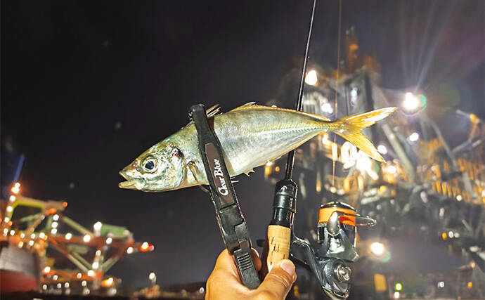 ボートアジングで27cm頭に良型アジ入れ食い!【北九州】軽量ジグヘッドと小型ワームが的中