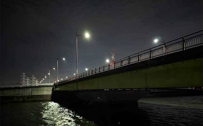 「仕事帰りの1時間勝負!」衣浦港の橋脚シーバスゲームで2連発【愛知】