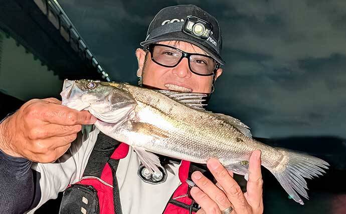 「仕事帰りの1時間勝負!」衣浦港の橋脚シーバスゲームで2連発【愛知】