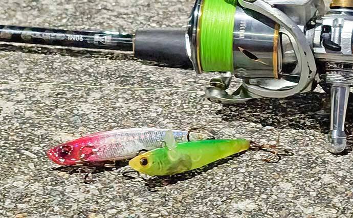 「仕事帰りの1時間勝負!」衣浦港の橋脚シーバスゲームで2連発【愛知】