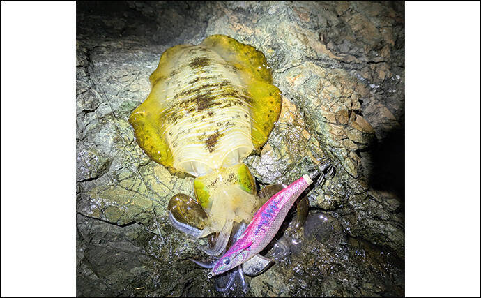 人気沖磯でフカセ・エギング・ロックゲームの欲張り釣行【大分】本命3魚種と対面成功