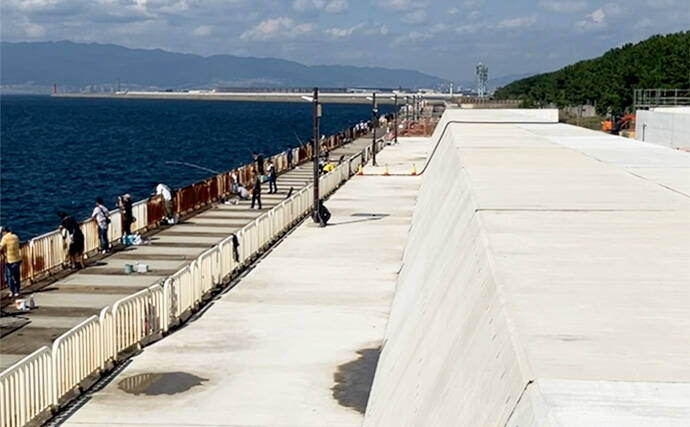 『大阪南港魚つり園』で連日サゴシ好調! ハマチも到来でいよいよ秋爆スタートか?