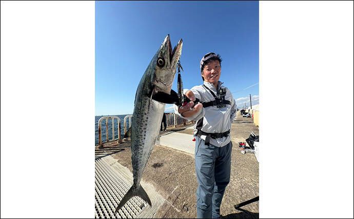 『大阪南港魚つり園』で連日サゴシ好調! ハマチも到来でいよいよ秋爆スタートか?