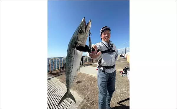 「『大阪南港魚つり園』で連日サゴシ好調! ハマチも到来でいよいよ秋爆スタートか?」の画像