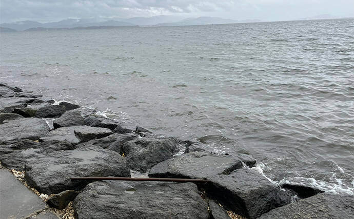 「冷凍アサリ+直リグ=アサリグ」でアタリ連発!【静岡】チヌにへダイをキャッチ成功