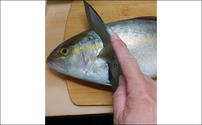 釣魚で作る「秋の味覚」レシピ:ネリゴのホイル焼き キノコとバターで食欲全開