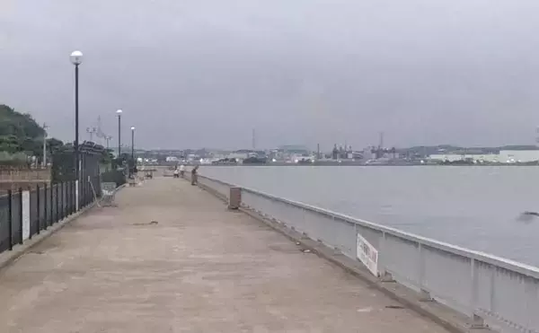 「碧南海釣り広場のサビキ釣りでサッパ爆釣!【愛知】ヒイラギ&セイゴも登場」の画像