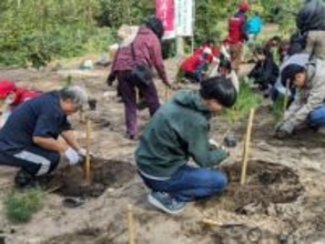 「産・学・官」初の連携でクロマツ植樹 新潟市西海岸公園に10年かけ「けんしんの森」