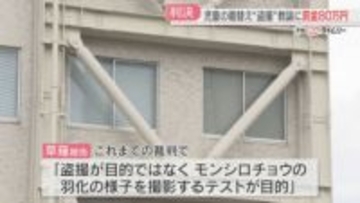 【有罪判決】児童の着替えを盗撮 35歳の小学校教諭「モンシロチョウを撮影」裁判官「さなぎや飼育ケースが映っていない」福岡