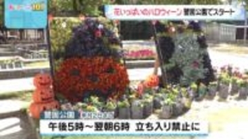 花いっぱいのハロウィーン 福岡市・警固公園でイベント開始 2日までの期間中は夜間封鎖