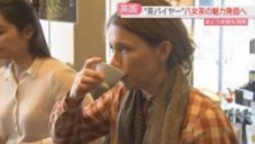 紅茶の国から「茶バイヤー」がやってきた 茶畑に分け入り 八女茶は「コクと深み」 福岡