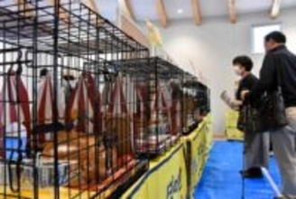 犬猫の命、市民につなぐ　札幌市の動物愛護管理センター「あいまる」開設半年　譲渡1．5倍、見学者4．8倍に