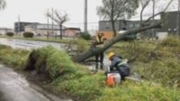 道内は各地で大荒れの天気 JR北海道は104本が運休 えりも岬では最大瞬間風速49.1メートルを観測