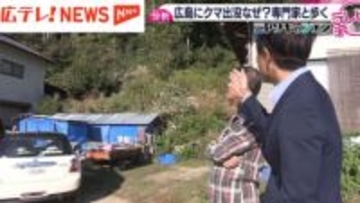 冬ごもりをしない可能性も… 広島でクマが出没した理由とは? 専門家に聞く原因と対策