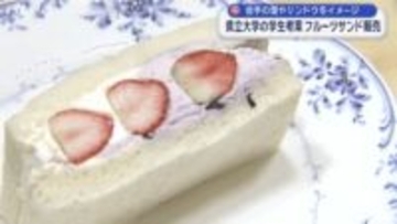 雪やリンドウをイメージ 県立大の学生考案 フルーツサンド販売【岩手・盛岡市】