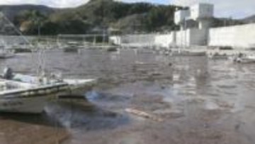 「このままでは船が出せない」 大規模山林火災の影響か 漁港に大量の黒く焦げた木や枝・土砂 大雨で流れ込む 岩手・大船渡市