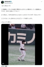 Xで明かされる名物審判・白井一行氏の「ストライクポーズ」エピソード　野球ファンほっこり、「これからは全面的に応援」の声
