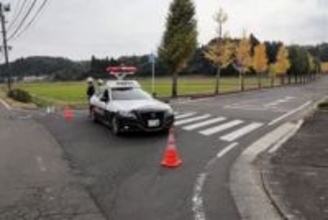 「道路脇のイチョウの木に熊が登っている」仙台・住吉台東