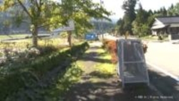 南砺市で親子3頭のクマ目撃