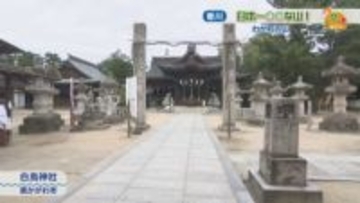 神社の境内に自称「日本一低い山」 ユニークなおみくじやブランコも 香川・東かがわ市