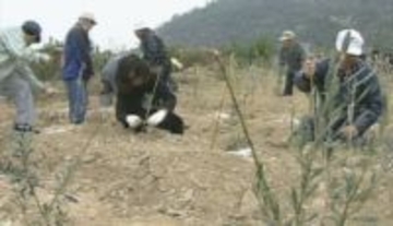 豊島から環境教育の未来を考える 瀬戸内オリーブ基金創立25周年 11月に岡山で記念式典