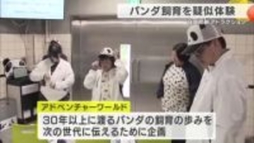 パンダ飼育の裏側を体験 アドベンチャーワールドが新企画 30年の歩みを次世代へつなぐ試み