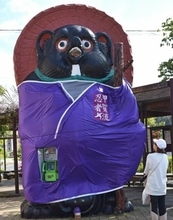 滋賀県甲賀市の巨大なタヌキ、甲賀忍者に変身でござる！