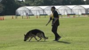 「嗅覚を生かして活躍して」 嘱託警察犬の審査会 三重・鈴鹿市