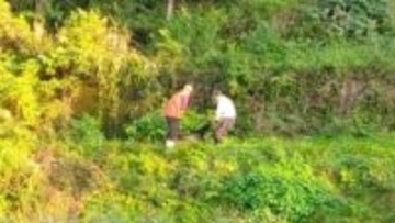 「クマがクルミを食べている」石川・白山市でクマ出没 県内初の「緊急銃猟」で駆除