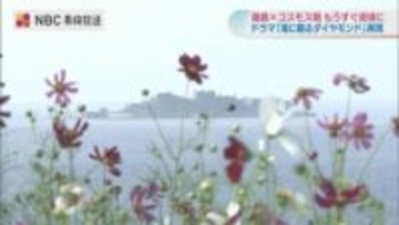 【快挙】ドラマ「海に眠るダイヤモンド」が最高賞! 東京ドラマアウォード 長崎ではコスモス畑再現も