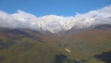「三段紅葉」白い雪・紅葉・緑 長野県白馬村
