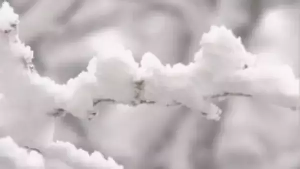 雪化粧 一気に冬景色 群馬との県境の渋峠 長野・山ノ内町