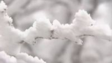 雪化粧 一気に冬景色 群馬との県境の渋峠 長野・山ノ内町