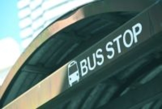 猫を連れて『バス』に乗るときの注意点5つ 守るべきマナーから必要な準備まで