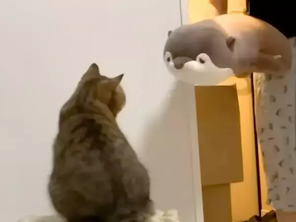 洗われたはずの猫のおもちゃが『巨大化するドッキリ』をした結果→戸惑いの表情を浮かべていたけれど…『素敵な展開』に反響「仲間増えたね」