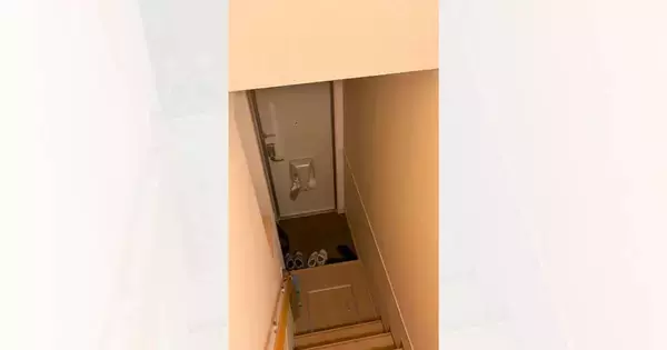 『いなくなった子猫』を探していたら、『玄関』で…予想外のかわいすぎる光景が153万再生「笑うしかないw」「最高のお届けものw」