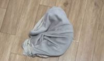 床の上をクネクネとうごめく『怪しい物体』→つついてみると…110万再生を記録した微笑ましい瞬間に「あるあるだよねw」「ホラーかと思ったw」