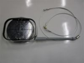 長崎・壱岐島にいないはずのイノシシ? 海渡ったか、複数の目撃情報で警戒