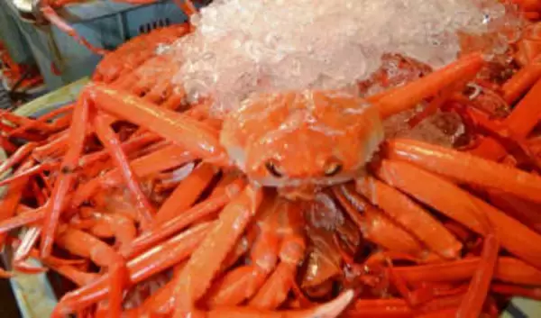 「何と!羨ましい」〝まるごとズワイガニ〟給食が話題に「良い思い出になりそう」「現代っ子は幸せです」