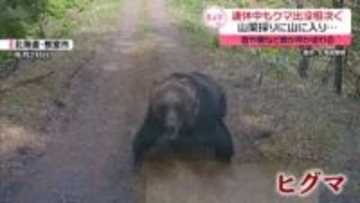 【ドラレコ映像】クマが軽トラックに体当たり…連休中も出没相次ぐ　北海道
