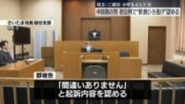 埼玉・三郷市の飲酒ひき逃げ 中国籍の男、初公判で起訴内容を認める