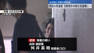 同居する交際相手の3歳娘を洗濯機に入れて回しケガさせた疑い、30歳男を現行犯逮捕　茨城・東海村