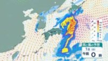 あす1日にかけ東日本は「土砂災害」「低い土地の浸水」「河川の増水」「強風」「高波」に注意・警戒を 西日本~北日本は「落雷」「竜巻などの激しい突風」に注意を 今後24時間の天気シミュレーション【31日午後11時現在】