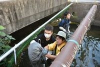 海ごみ問題解決へ用水路のごみ回収・調査 岡山科技専が社会実験 11月にシンポで発表