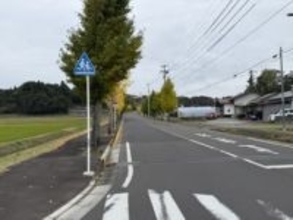 【速報】仙台・住宅街のイチョウの木にクマが登り“居座る”も約5時間後に駆除 けが人なし