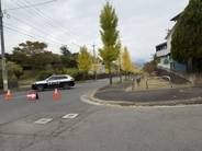 【速報】「イチョウの木の上にクマ」仙台・泉区の住宅街で警察が周辺道路を封鎖し警戒中