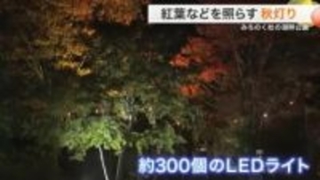 紅葉と古民家が幻想的に みちのく杜の湖畔公園でライトアップ開始〈宮城・川崎町〉