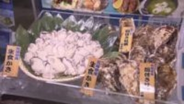 宮城産カキ初入荷 1カ月遅れも“身入り良い” 「甘味が広がる」仙台市場で競りと試食会