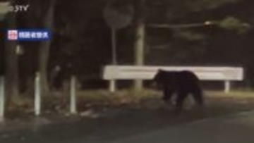 【速報】体長138センチのメス1頭駆除 山の手地区に出没繰り返したクマか 札幌市西区